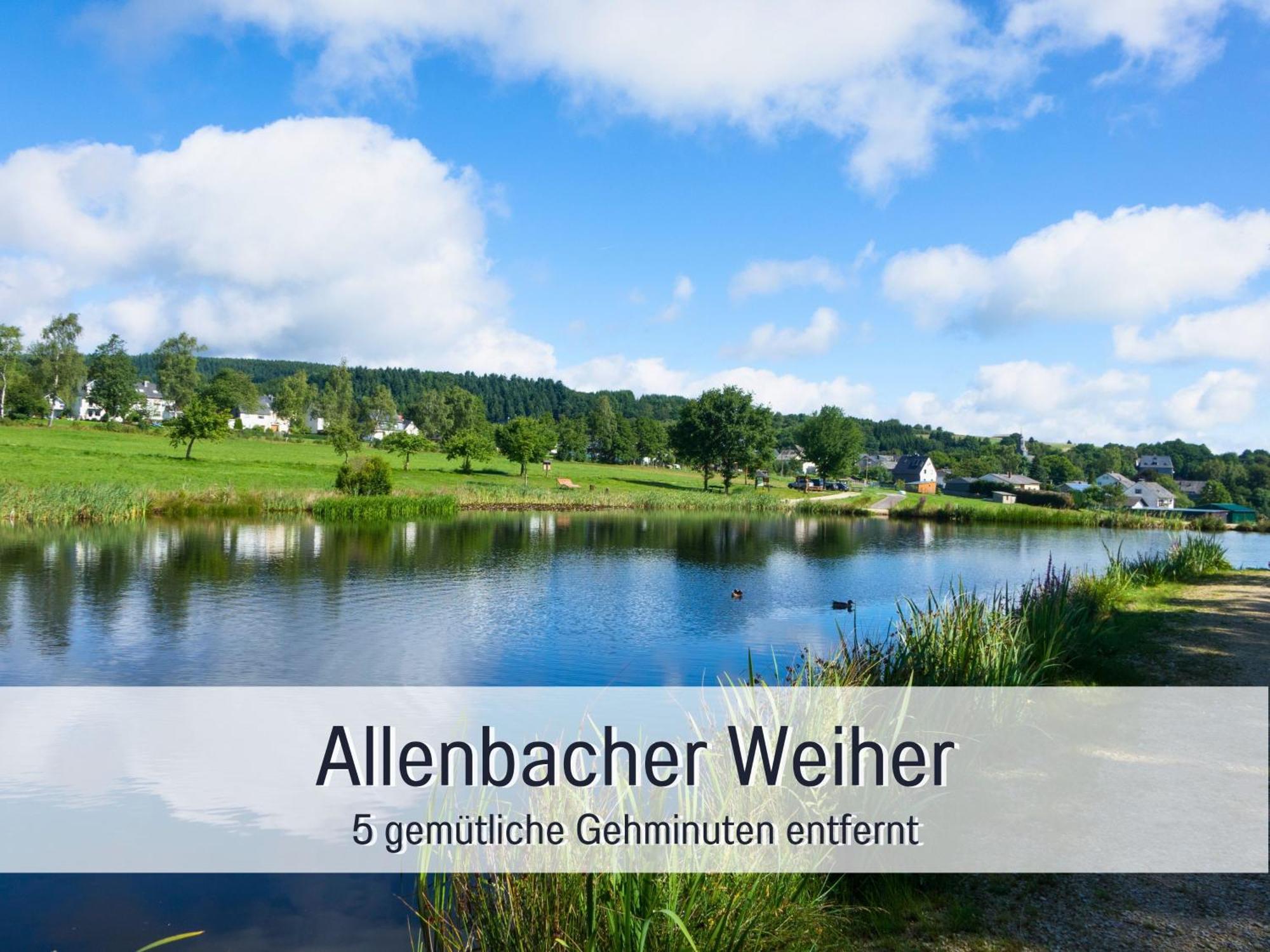 4 Sterne Ferienhaus "Zum Weiher" Allenbach Ngoại thất bức ảnh